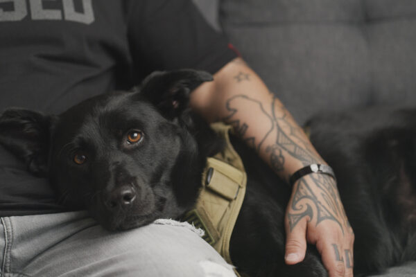 Emilio and Samson. By My Side Documentary Film US Marine Corps, Purple Heart Recipient Emilio with his PTSD service dog Samson at home.